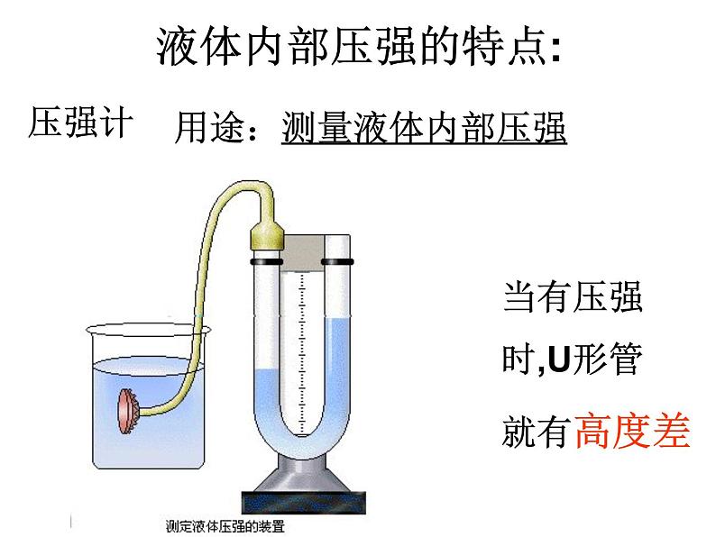 9.2液体的压强课件第5页