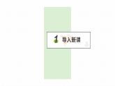 18.4 能量转化的基本规律（课件）-苏科版九年级物理下册同步教学精美课件