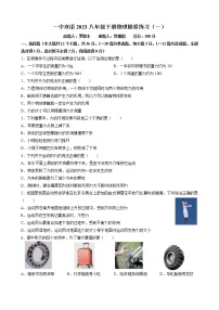 湖南省长沙市一中双语实验学校2022-2023学年八年级下学期第一次月考物理试卷