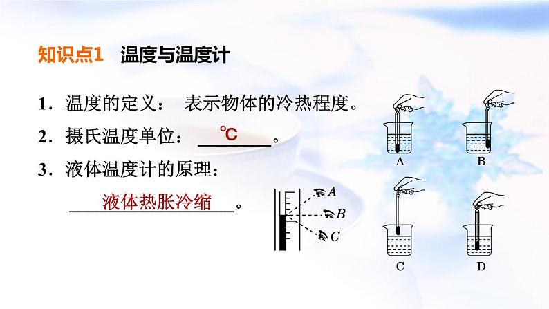 中考物理复习第20课时温度与物态变化教学课件第4页