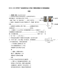 2022-2023学年广东省深圳市八年级下册物理期中专项突破模拟试卷（含解析）