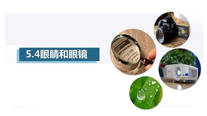 5.4眼睛和眼镜（课件）01