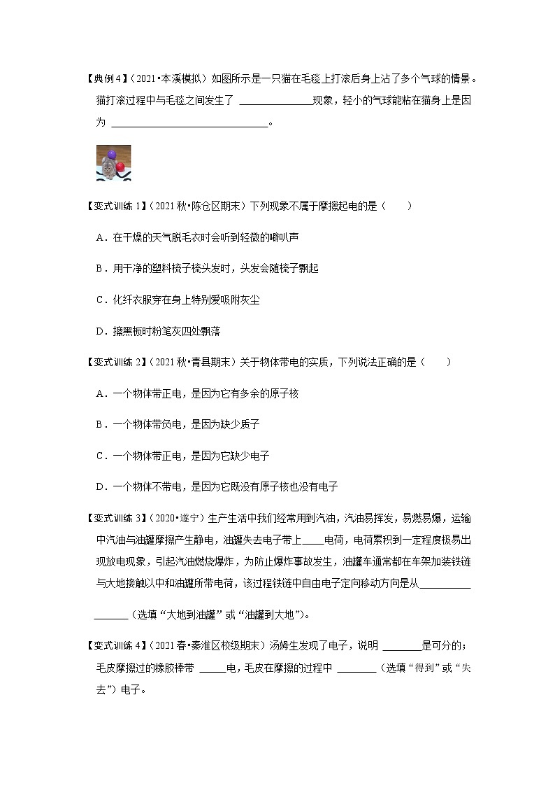 15.1 两种电荷-2022-2023学年九年级物理全一册同步考点专题训练（人教版）03