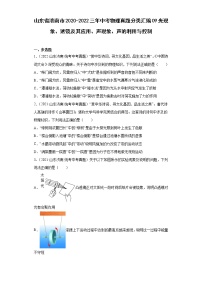 山东省济南市2020-2022三年中考物理真题分类汇编09光现象、透镜及其应用、声现象、声的利用与控制