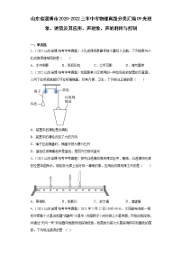 山东省淄博市2020-2022三年中考物理真题分类汇编09光现象、透镜及其应用、声现象、声的利用与控制