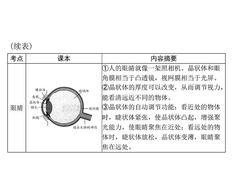 中考物理总复习第五章透镜及其应用课件第8页