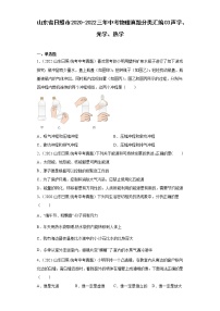 山东省日照市2020-2022三年中考物理真题分类汇编03声学、光学、热学