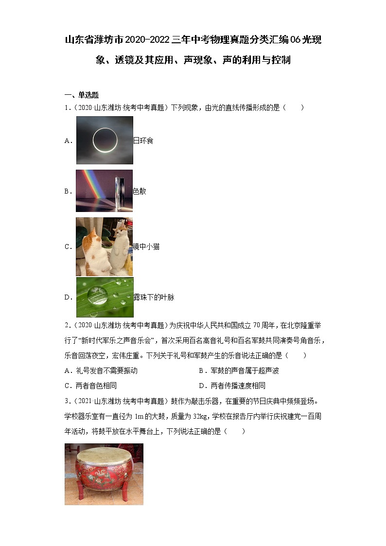 山东省潍坊市2020-2022三年中考物理真题分类汇编06光现象、透镜及其应用、声现象、声的利用与控制第1页