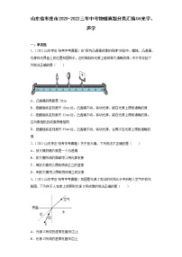 山东省枣庄市2020-2022三年中考物理真题分类汇编04光学、声学