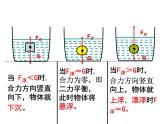 人教版八年级物理下册--10.3物体的浮沉条件及应用（课件3）