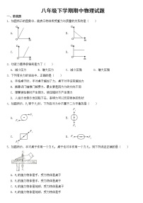 湖南省邵阳市2023年八年级下学期期中物理试题【含答案】