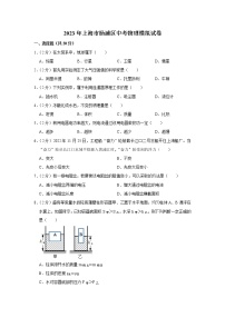 2023年上海市杨浦区中考模拟物理试题（含答案）