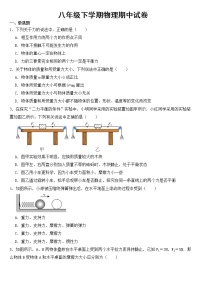 湖南省株洲市2023年八年级下学期物理期中试卷【含答案】