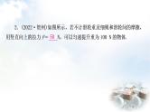 中考物理复习第12讲简单机械第2课时滑轮斜面机械效率作业课件