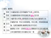 中考物理复习第18讲电与磁教学课件