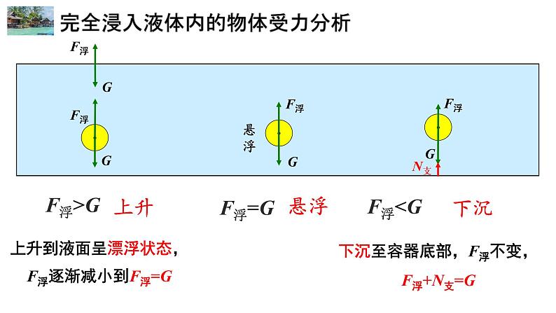 10.3 物体的浮沉条件及应用  课件  人教版物理八年级下册ppt04