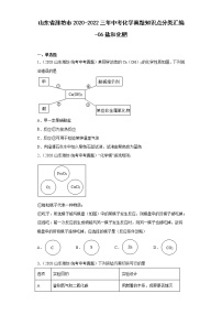 山东省潍坊市2020-2022三年中考化学真题知识点分类汇编-06盐和化肥