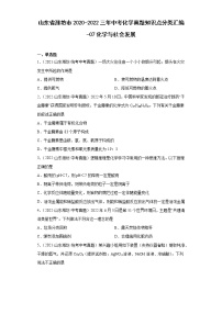 山东省潍坊市2020-2022三年中考化学真题知识点分类汇编-07化学与社会发展