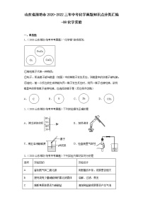 山东省潍坊市2020-2022三年中考化学真题知识点分类汇编-08化学实验