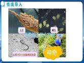 粵滬版物理八年級上第三章光和眼睛第7節(jié)眼睛與光學儀器第2課時  教學課件+教案