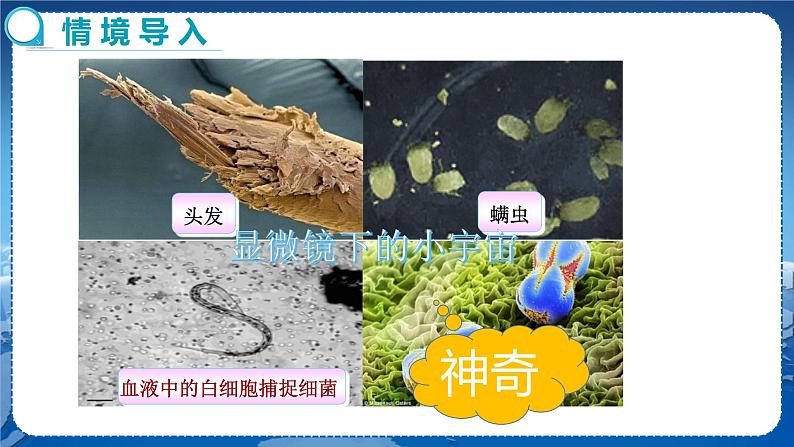 广东教育上海科技版物理八年级上第三章光和眼睛第7节眼睛与光学仪器第2课时  教学课件第3页