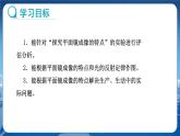 教科版物理八年级上 第四章 在光的世界里 3.科学探究：平面镜成像 第2课时  教学课件