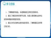 教科版物理八年级上 第四章 在光的世界里 6.神奇的眼睛  教学课件