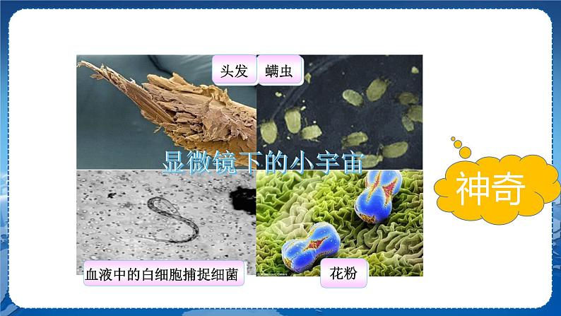 教科版物理八年级上 第四章 在光的世界里 7.通过透镜看世界  教学课件第4页