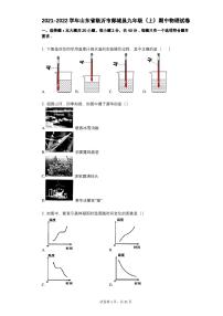 2021-2022学年-有答案-山东省临沂市郯城县九年级(上)期中物理试卷