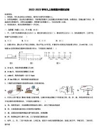 2022-2023学年山东省临沂市郯城县物理九年级第一学期期末监测模拟试题含解析