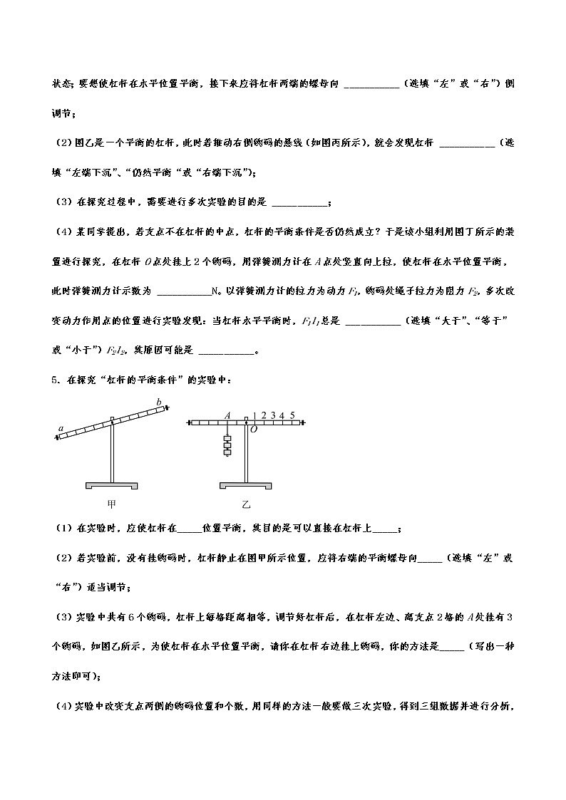 2023年中考物理专题复习—简单机械实验专题第3页