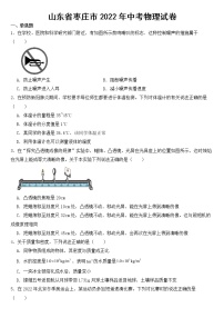 山东省枣庄市2022年中考物理试卷【附参考答案】