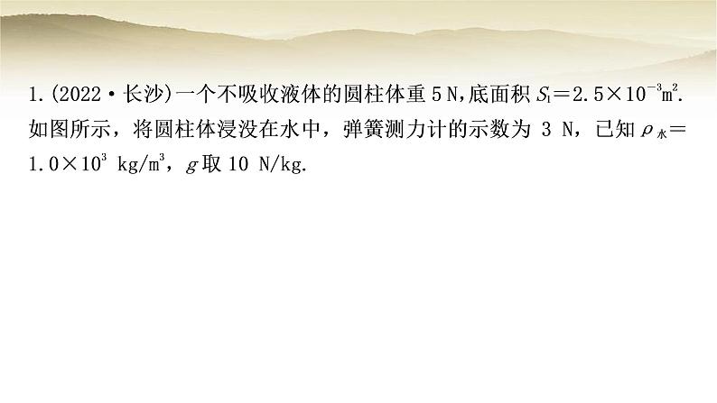 人教版中考物理复习题型五密度、压强、浮力综合计算作业课件第2页