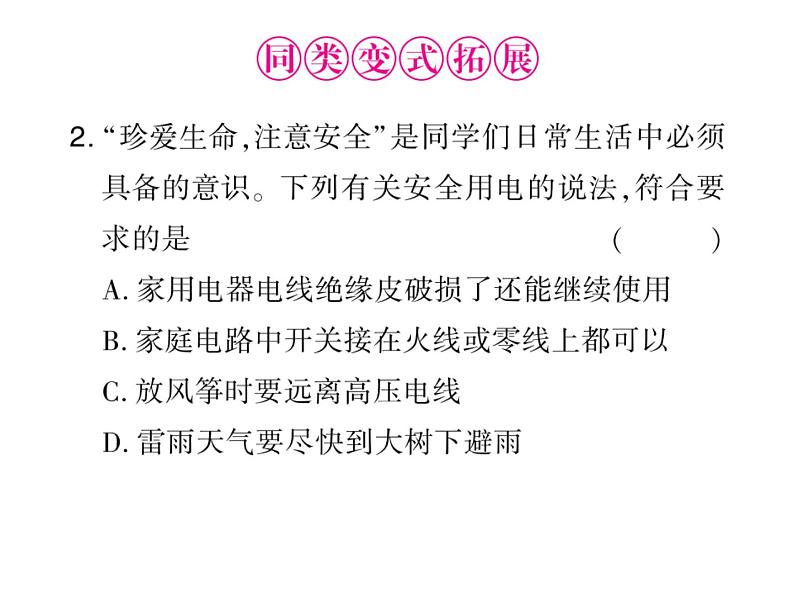 初中物理中考复习 中考物理 第二十一讲 生活用电课件PPT第5页