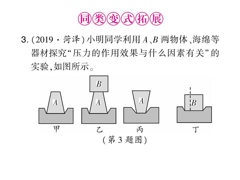 初中物理中考复习 中考物理 第九讲压强 课时一课件PPT第8页