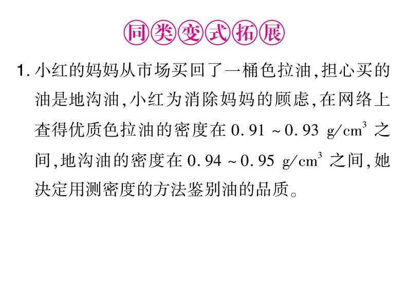 初中物理中考复习 中考物理 第六讲质量与密度 课时四课件PPT第5页