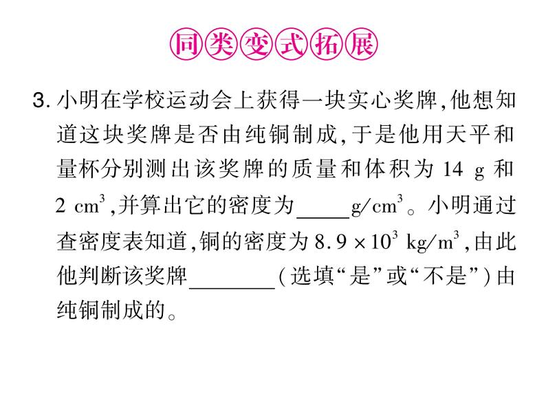 初中物理中考复习 中考物理 第六讲质量与密度课件PPT07