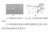 初中物理中考复习 中考物理 第十一讲浮力及其应用 课时三课件PPT