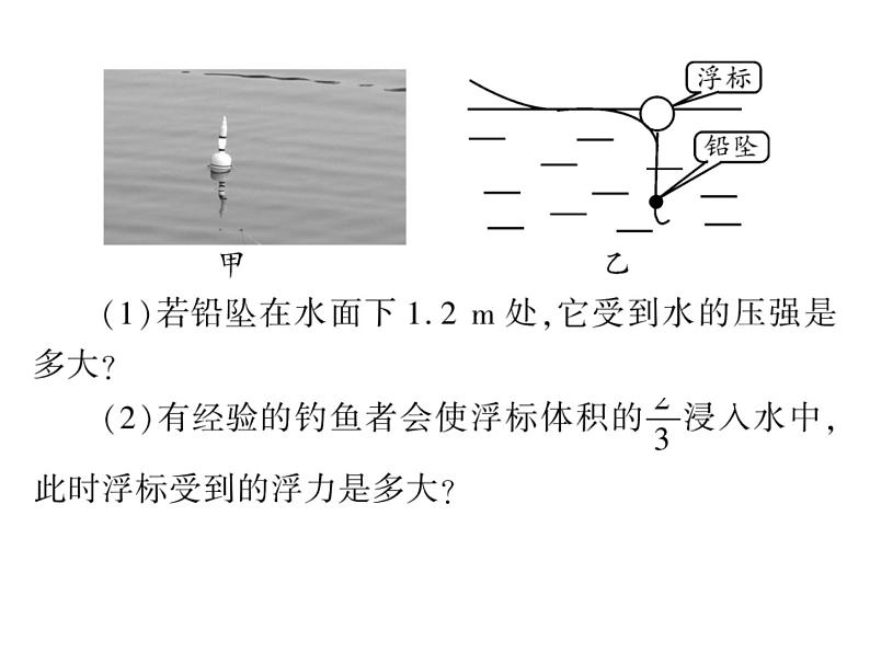 初中物理中考复习 中考物理 第十一讲浮力及其应用 课时三课件PPT第5页