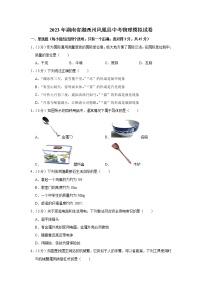 2023年湖南省湘西州凤凰县中考物理模拟试题（含答案）