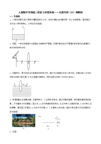 人教版中考物理二轮复习专题专练——光路作图（25）附解析