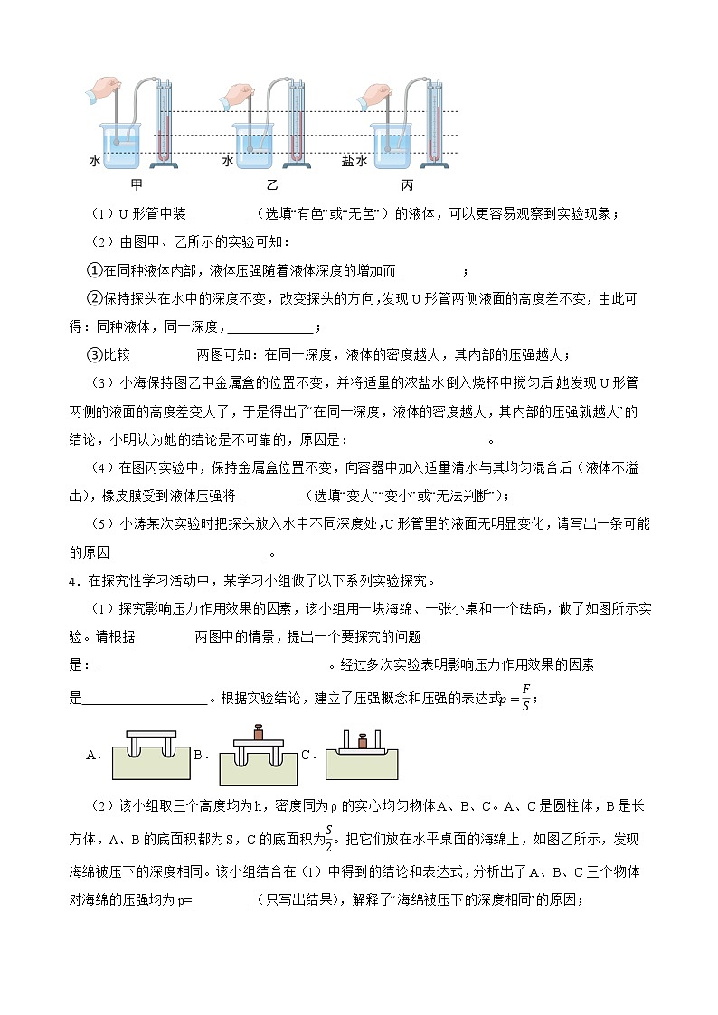 人教版中考物理二轮复习专题专练——压强相关的实验探究（19）附解析02