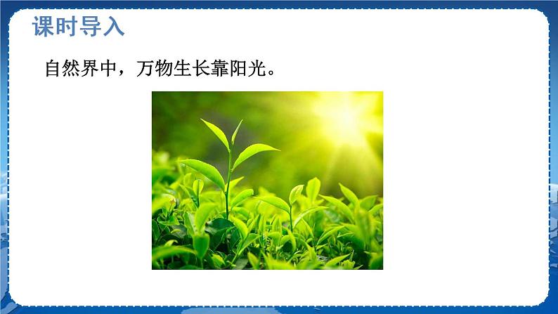 北师物理八上 5.1光的传播 PPT课件03