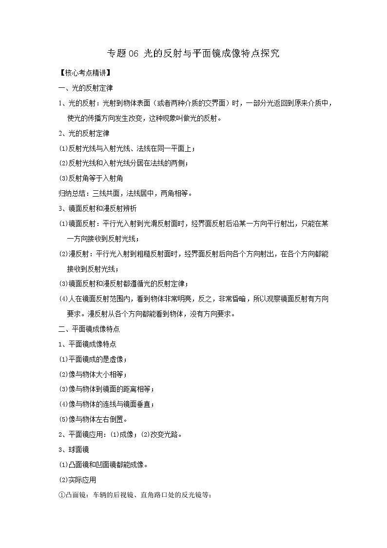 专题06 光的反射与平面镜成像特点探究（解析版）-2023年中考物理二轮复习核心考点精讲与精练（全国通用）第1页