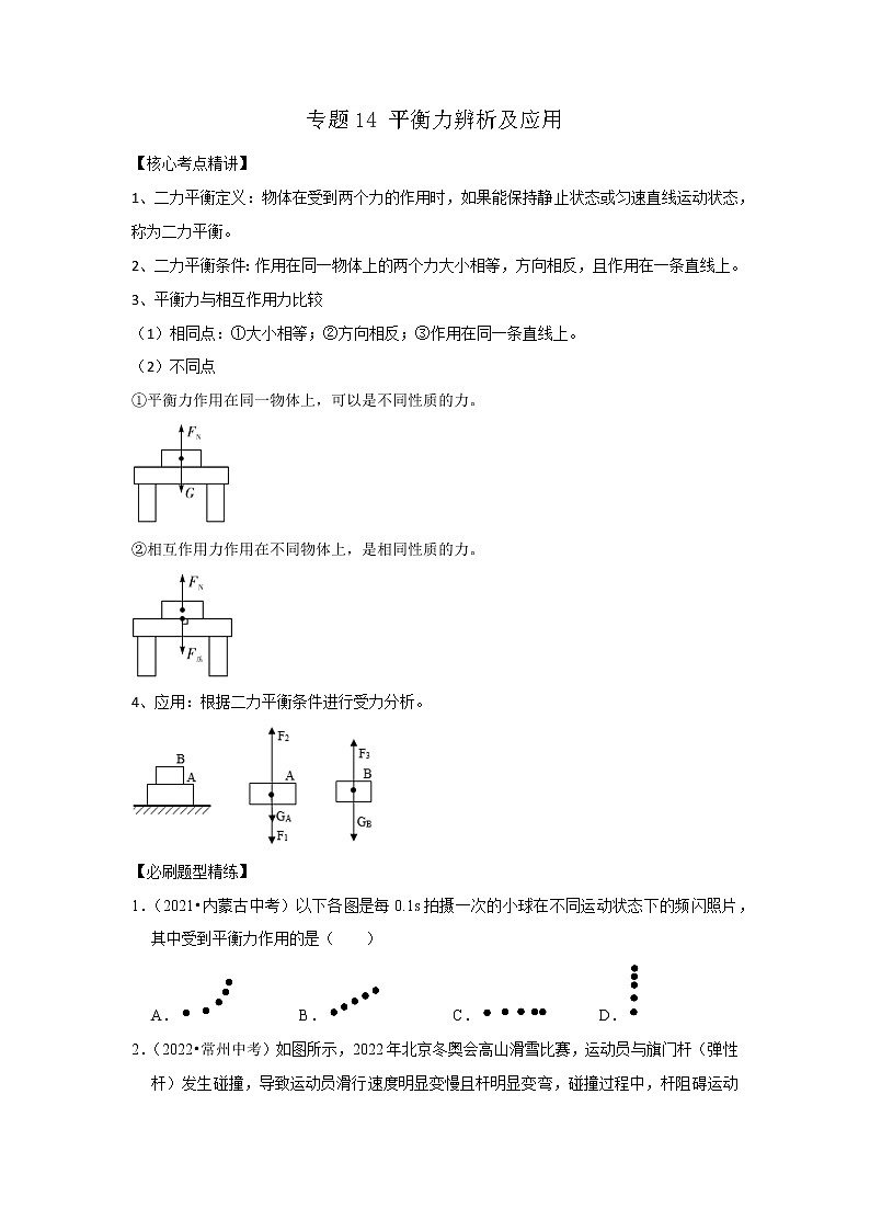 专题14 平衡力辨析及应用（原卷版）-2023年中考物理二轮复习核心考点精讲与精练（全国通用）第1页