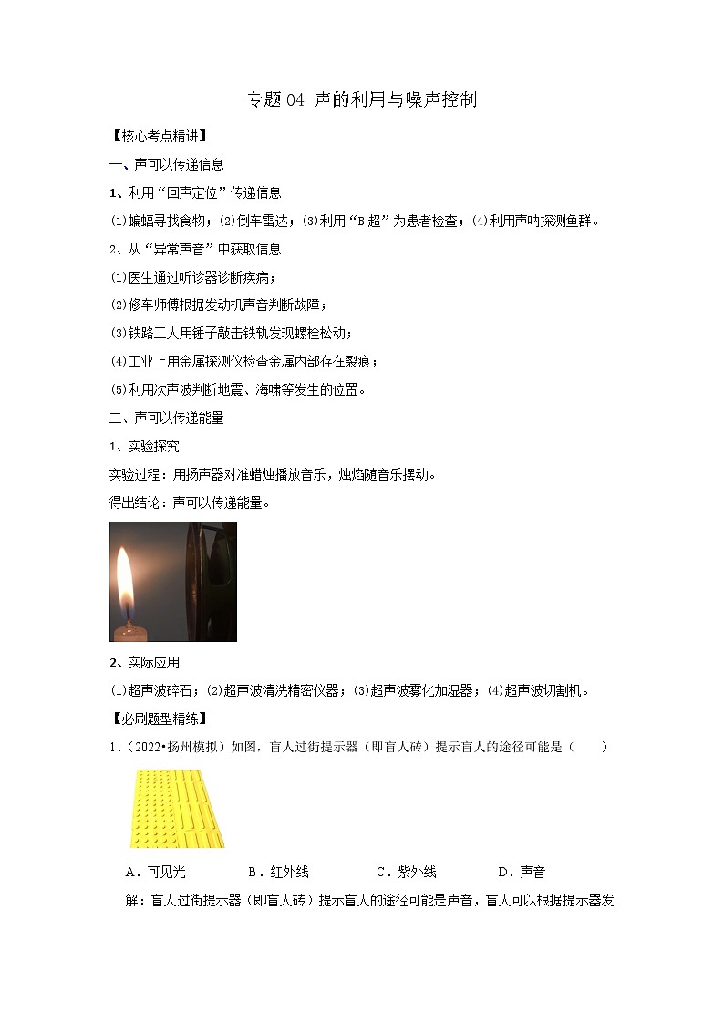 专题04 声的利用与噪声控制（解析版）-2023年中考物理二轮复习核心考点精讲与精练（全国通用）第1页