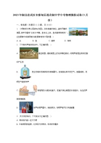 2023年湖北省武汉市蔡甸区莲花湖中学中考物理模拟试卷（3月份）（含解析）