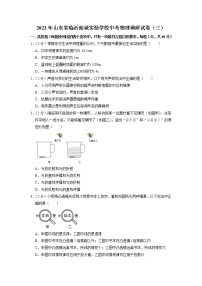 山东省临沂商城实验学校2022-2023学年九年级下学期阶段质量调研物理试题