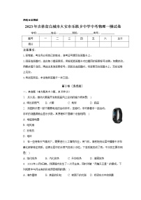 2023年吉林省白城市大安市乐胜乡中学中考物理一模试卷（含答案）