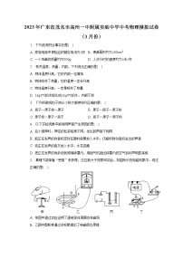 2023年广东省茂名市高州一中附属实验中学中考物理模拟试卷（3月份）（含解析）